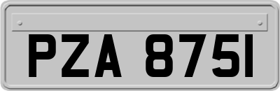 PZA8751