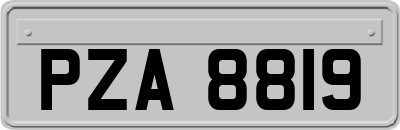 PZA8819