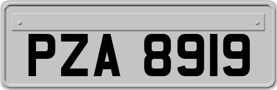 PZA8919