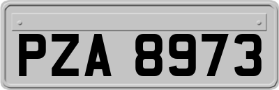 PZA8973