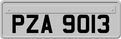 PZA9013