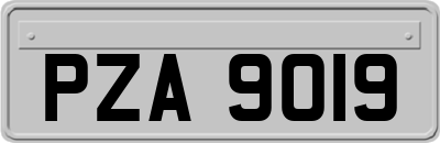 PZA9019