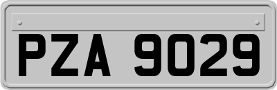 PZA9029