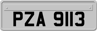 PZA9113