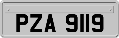 PZA9119