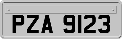 PZA9123