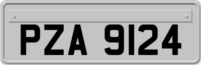 PZA9124