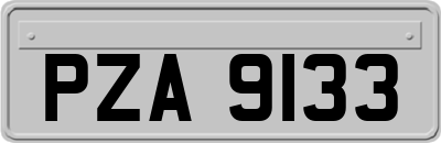 PZA9133
