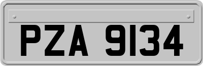 PZA9134