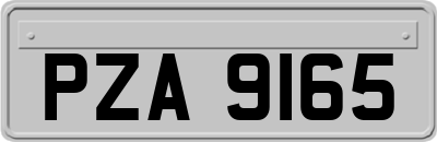 PZA9165