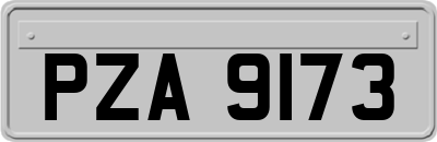 PZA9173