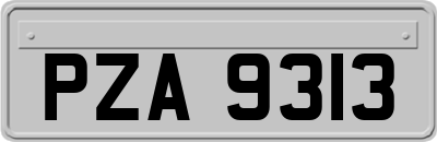 PZA9313
