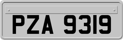 PZA9319
