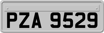 PZA9529