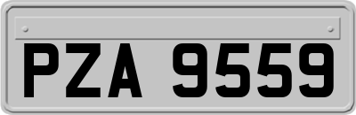 PZA9559