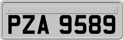 PZA9589
