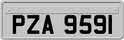 PZA9591
