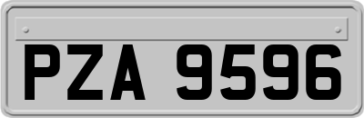 PZA9596