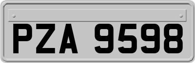 PZA9598