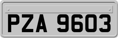PZA9603