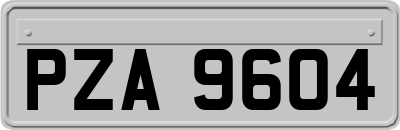 PZA9604