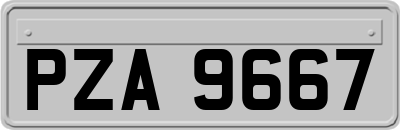 PZA9667