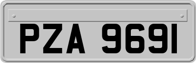 PZA9691