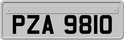PZA9810
