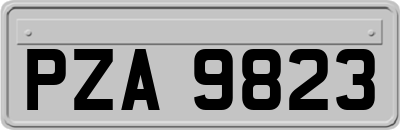 PZA9823