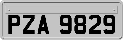 PZA9829