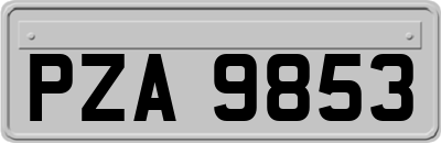 PZA9853