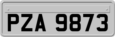 PZA9873