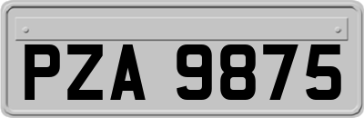 PZA9875