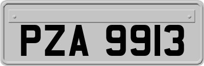 PZA9913