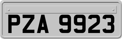 PZA9923