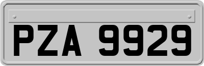 PZA9929