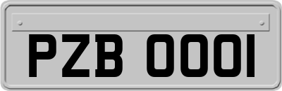 PZB0001