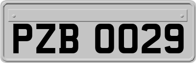 PZB0029