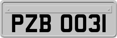 PZB0031