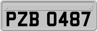 PZB0487