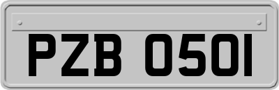 PZB0501