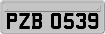 PZB0539