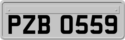 PZB0559