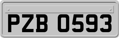 PZB0593