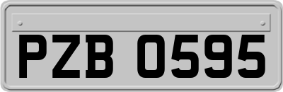 PZB0595