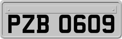 PZB0609