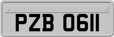 PZB0611