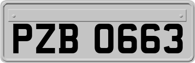 PZB0663
