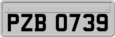 PZB0739