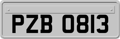 PZB0813